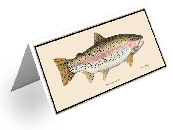 Rainbow Trout Greeting Card Classic Fish Art
