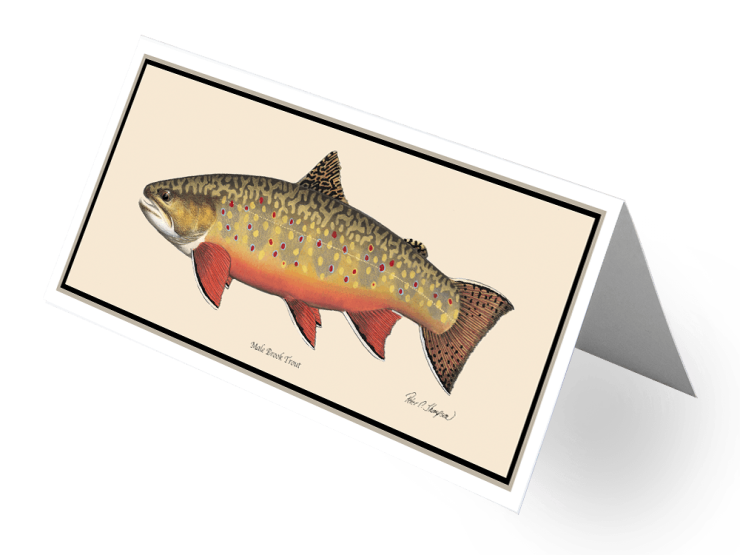 Brook Trout Greeting Card ClassicFish Art