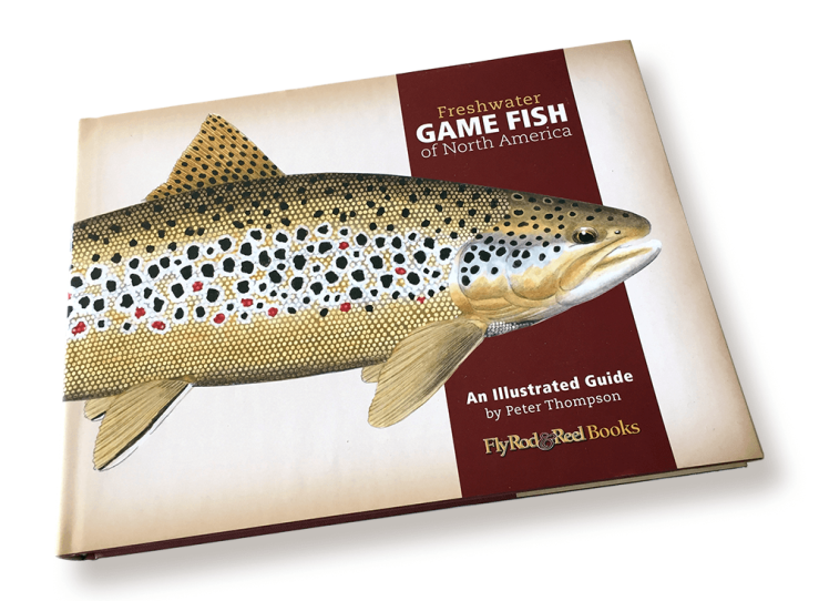 Freshwater Game Fish of North America: An Illustrated Guide