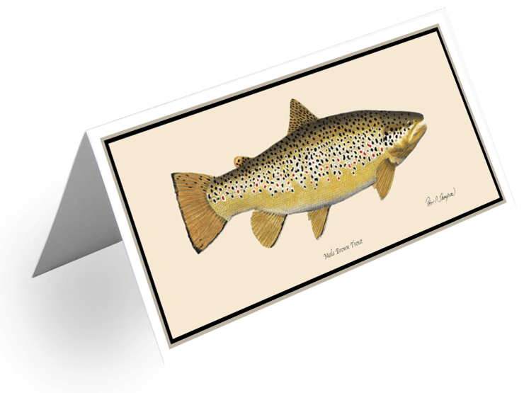 Brown Trout Greeting Card Classic Fish Art